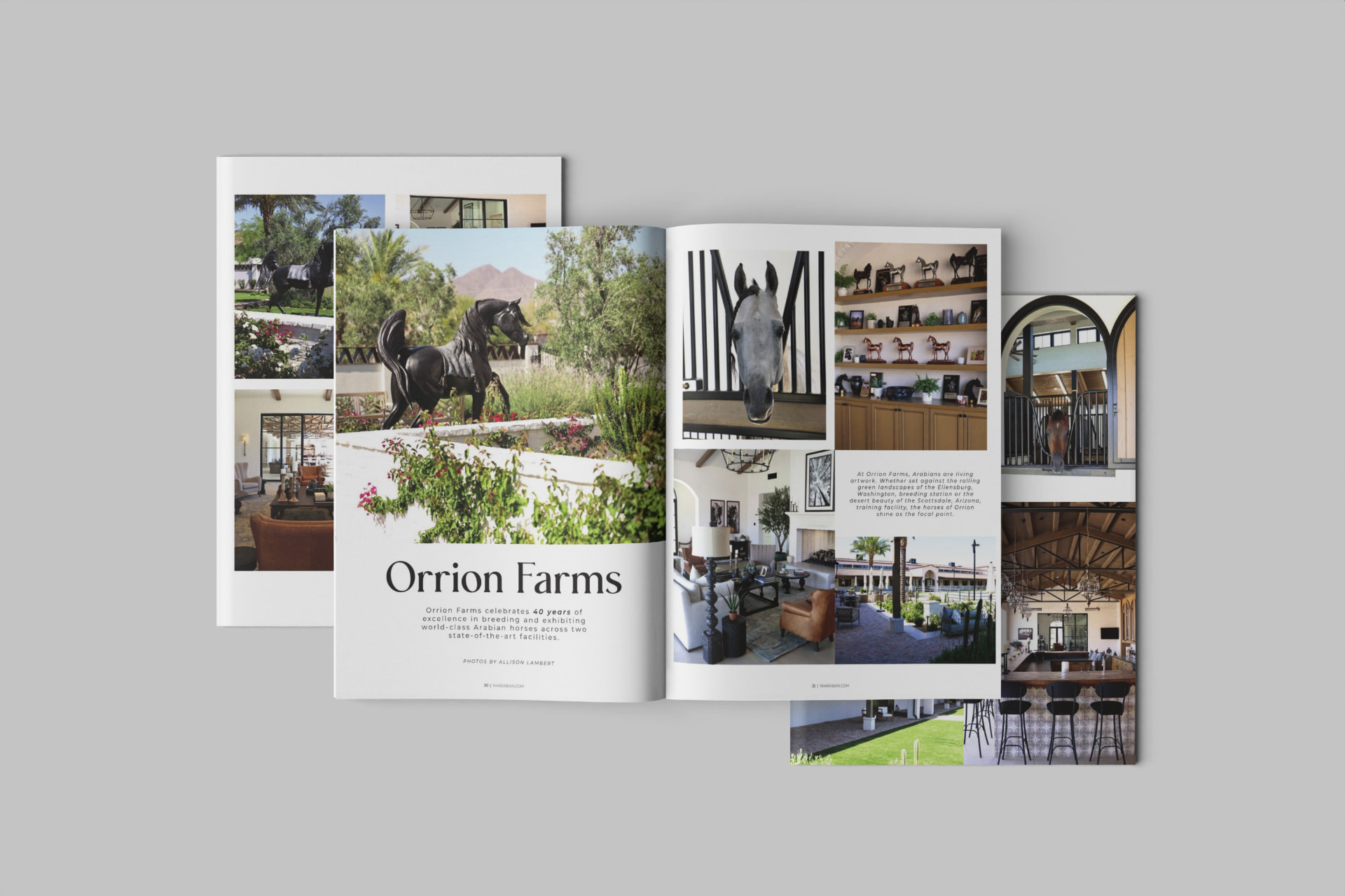 Orrion Farms large feature opening