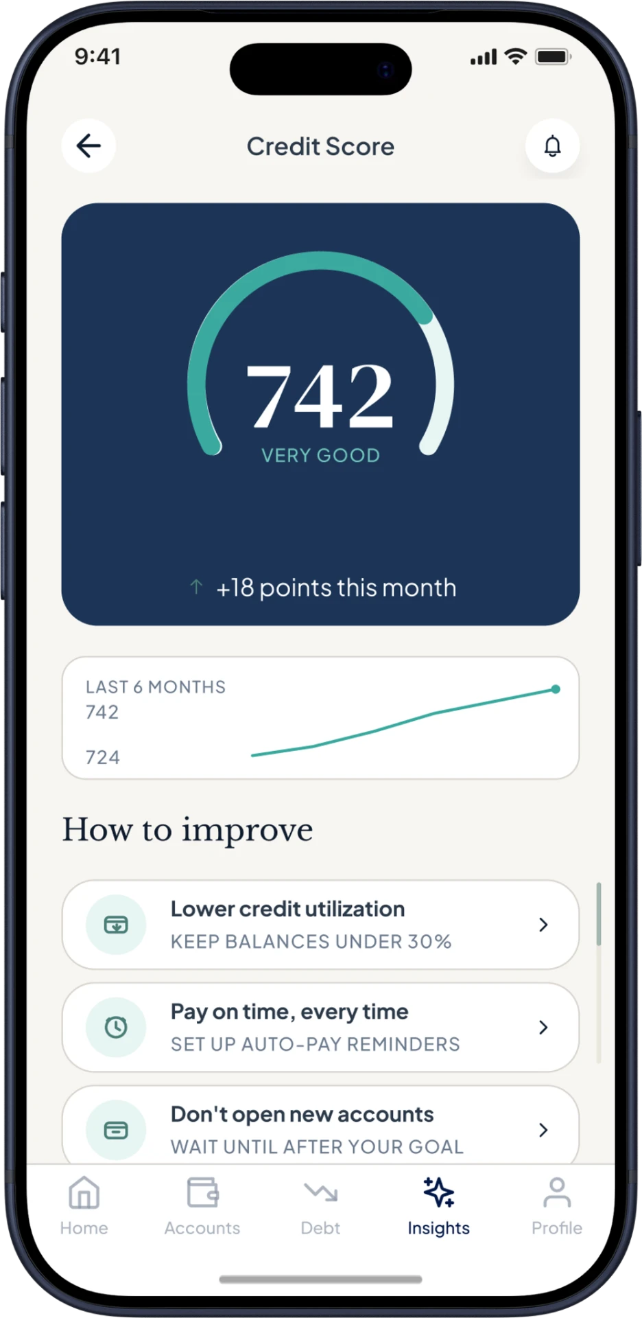Credit Score