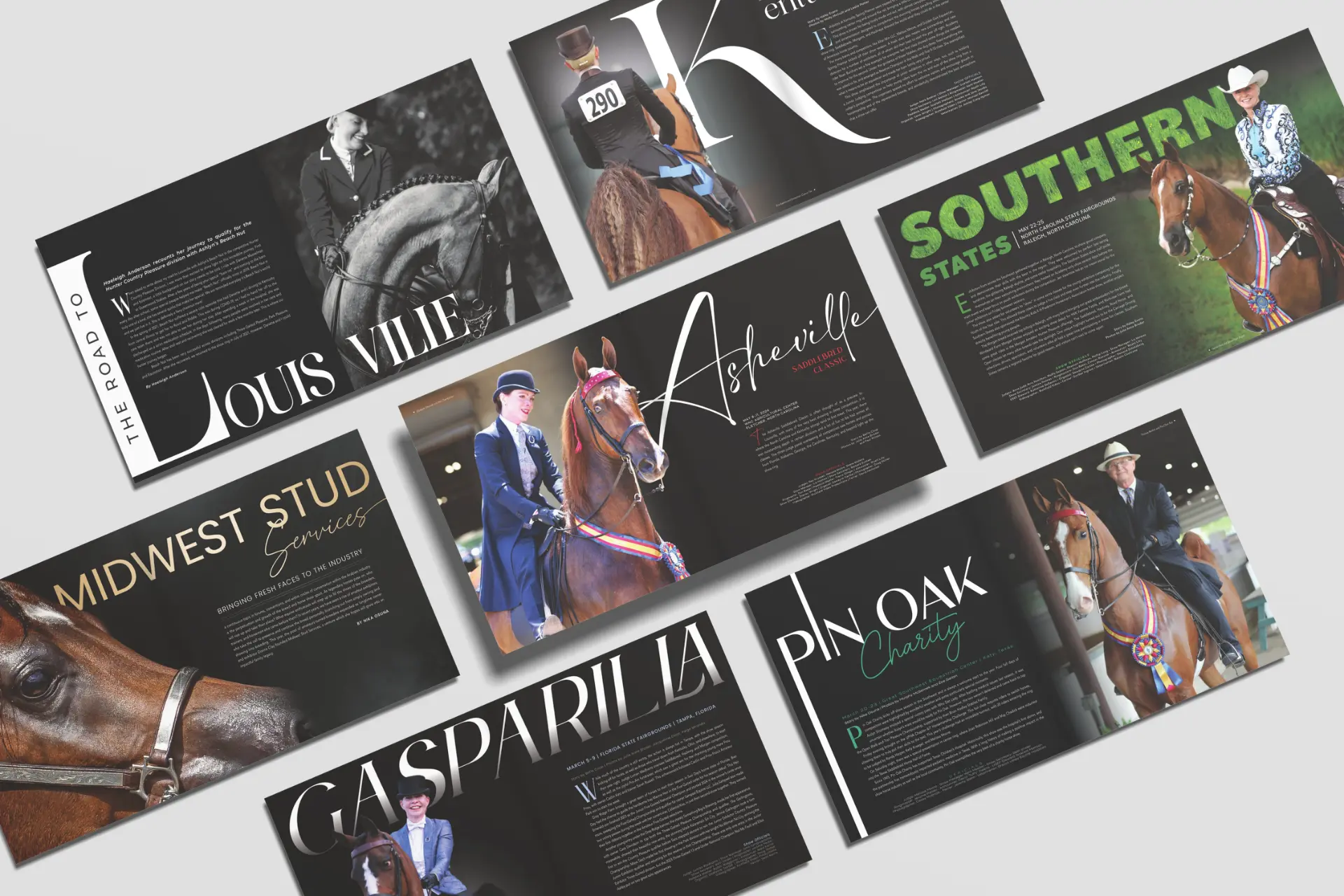 National Horseman Publishing brand and marketing design