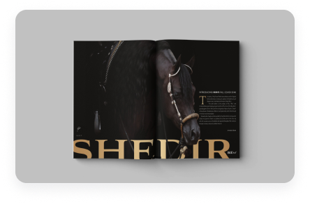 Shedir feature cover spread